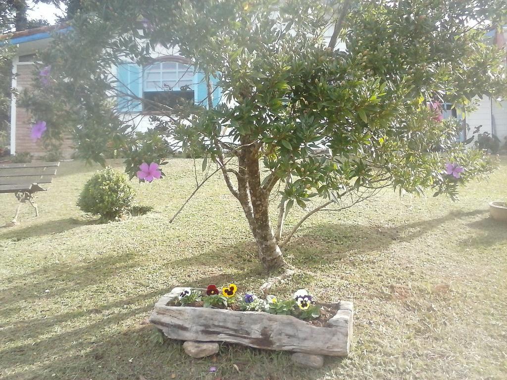 Pousada Lilaceas วิสกอนจิ จิ เมาอา ภายนอก รูปภาพ