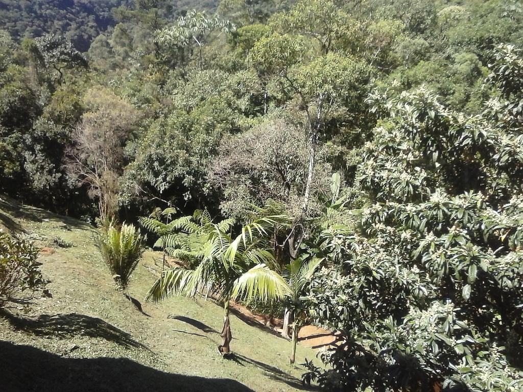 Pousada Lilaceas วิสกอนจิ จิ เมาอา ภายนอก รูปภาพ