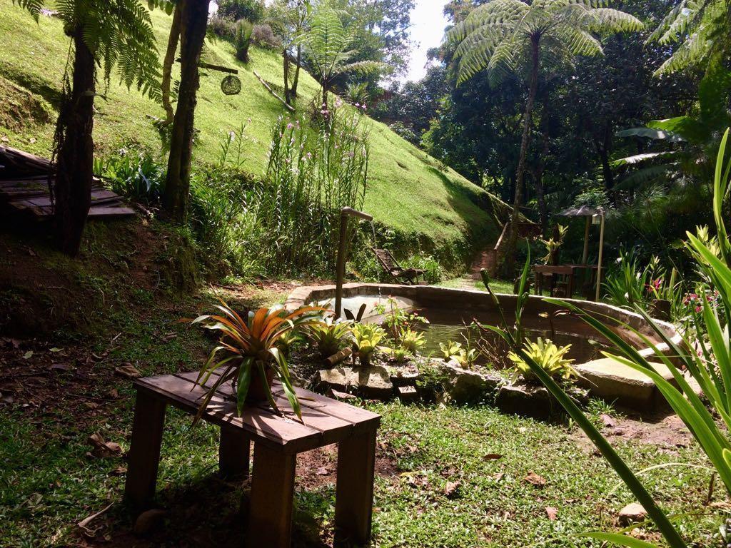 Pousada Lilaceas วิสกอนจิ จิ เมาอา ภายนอก รูปภาพ